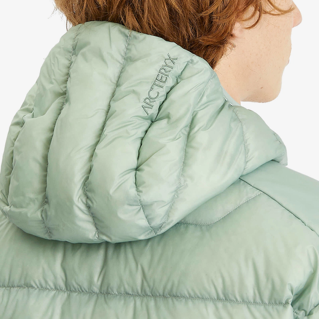 Arc'teryx Men's Arcteryx Cerium Hooded Jacket in Stone Green