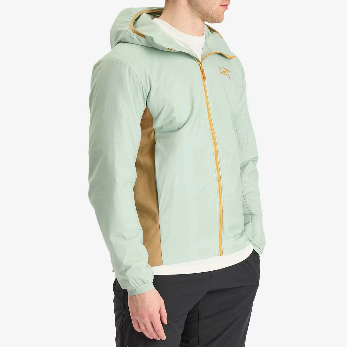 Arc'teryx Men's Atom Hooded Jacket in Trail Magic