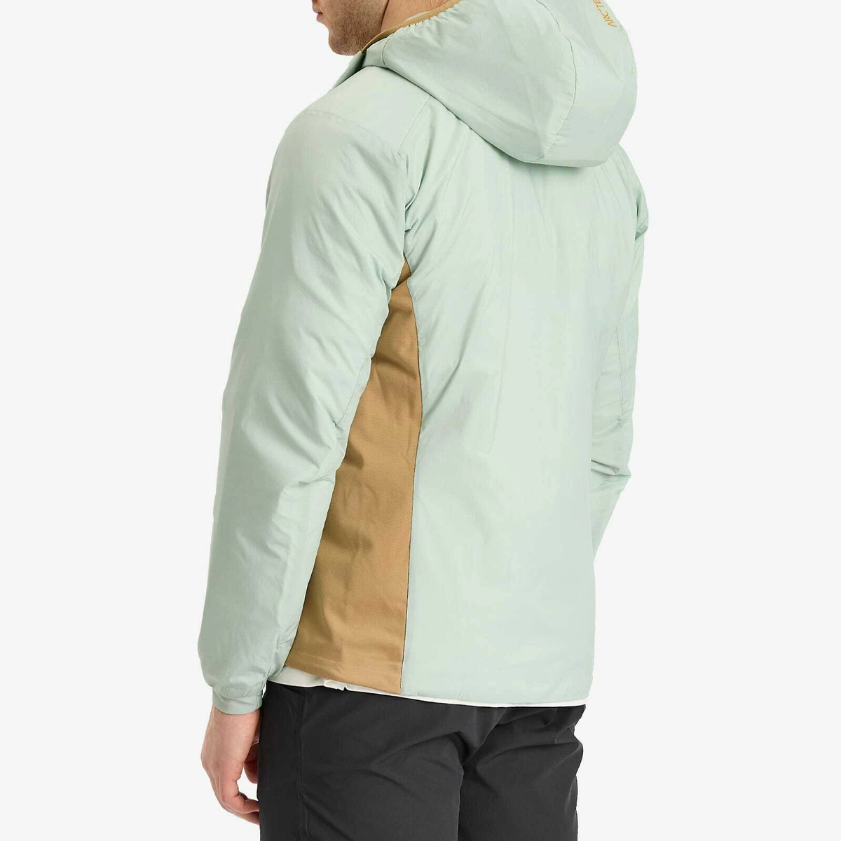 Arc'teryx Men's Atom Hooded Jacket in Trail Magic