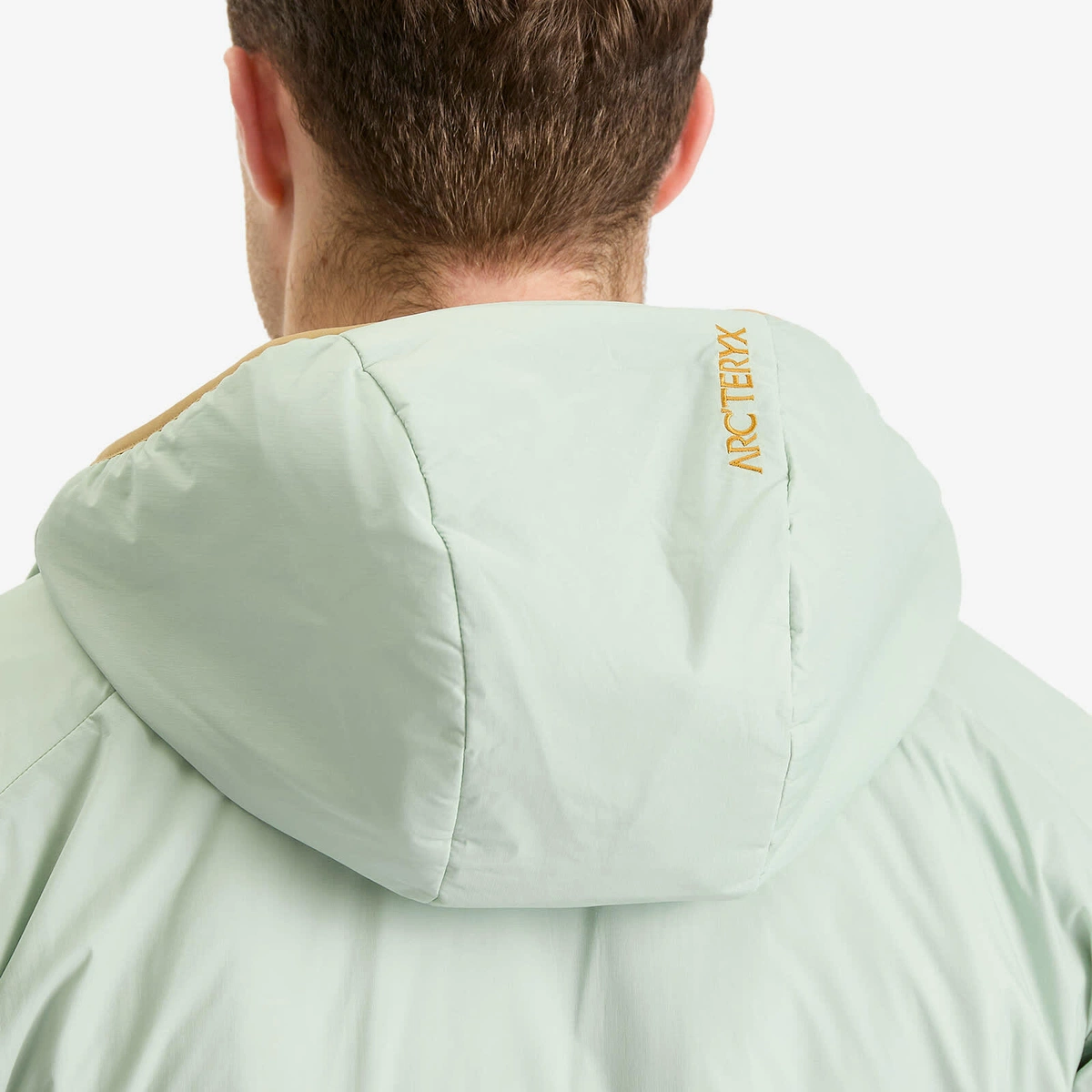 Arc'teryx Men's Atom Hooded Jacket in Trail Magic