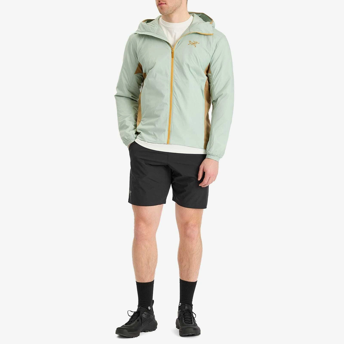 Arc'teryx Men's Atom Hooded Jacket in Trail Magic