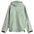 Arc'teryx Men's Beta AR Gore-Tex Stormhood Jacket in Stone Green