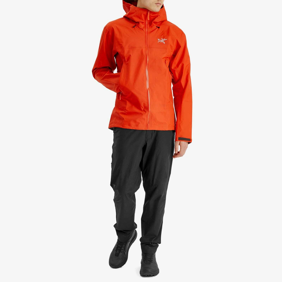 Arc'teryx Men's Beta SL Gore-Tex Jacket in Dynasty