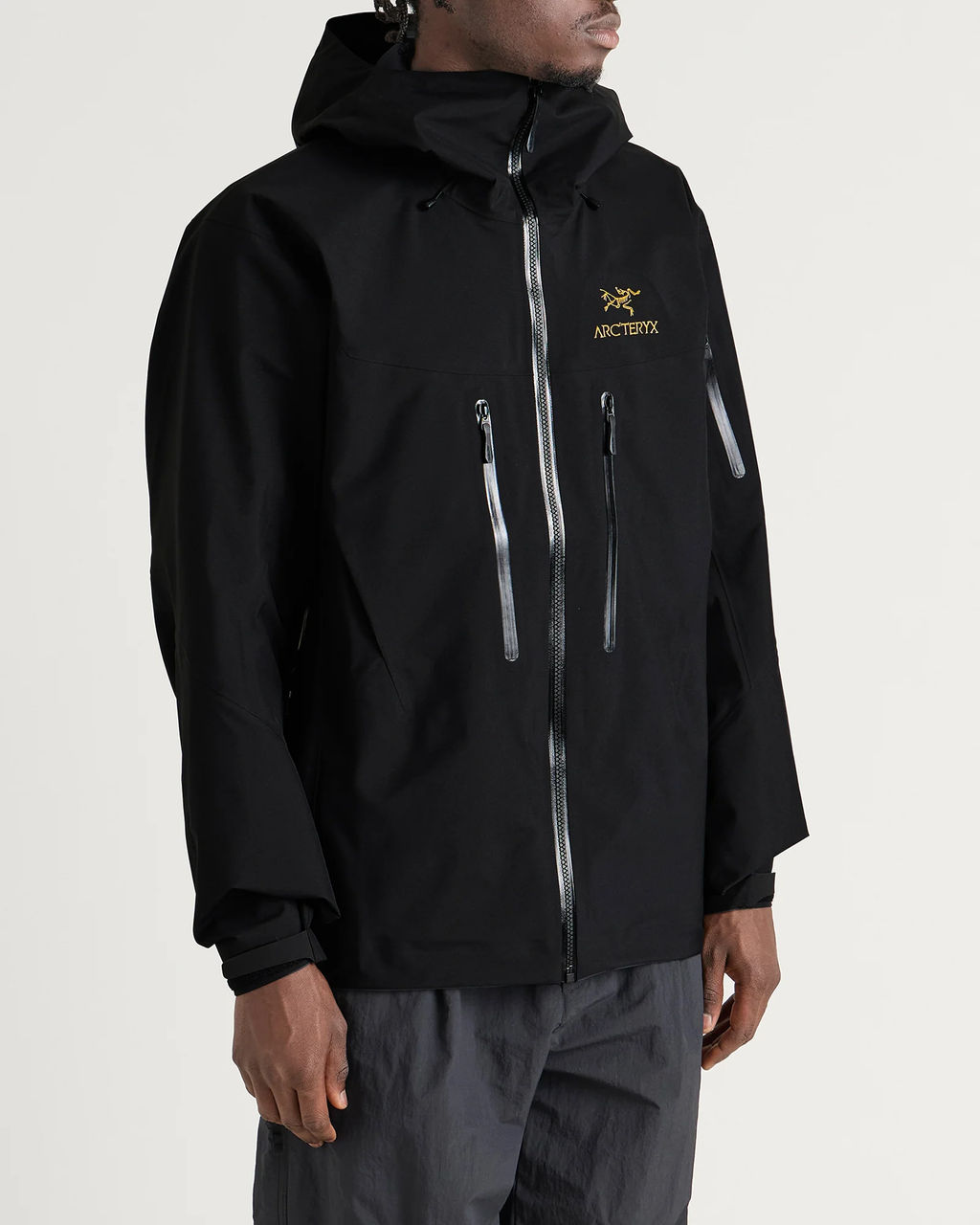 Arc'teryx Alpha SV Gore-Tex Jacket “Black”