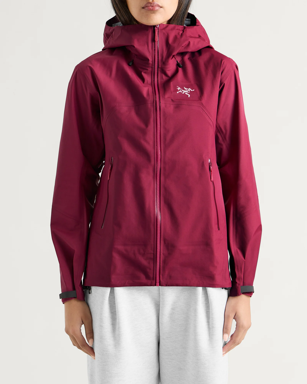 Arc'teryx Beta SL Jacket "Renegade"