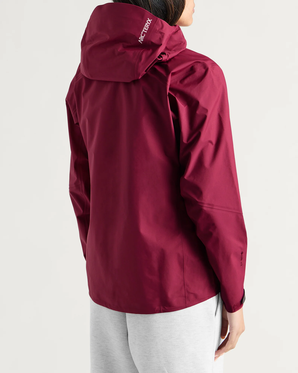 Arc'teryx Beta SL Jacket "Renegade"