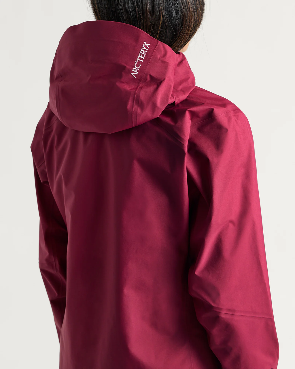 Arc'teryx Beta SL Jacket "Renegade"