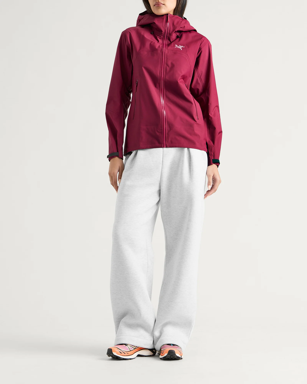 Arc'teryx Beta SL Jacket "Renegade"